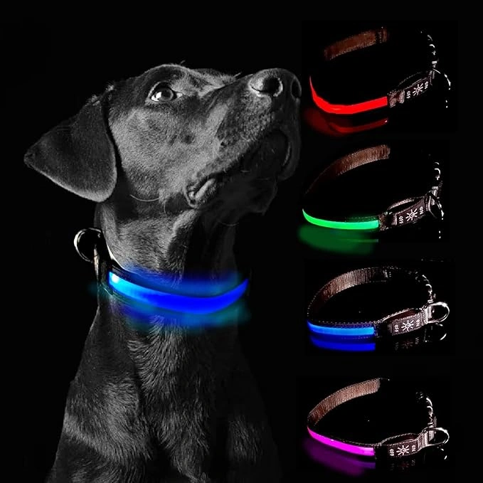 Glow Fetch It! HD Ultra Bright LED Safety Dog Collar, Adjustable, USB Rechargeable with 3 Modes, Water Resistant, Extremely Durable and Easy to Clean (Blue, Large)