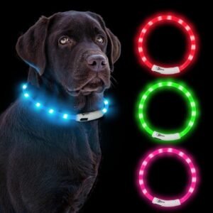 12 LED Lights Dog Collar, Waterproof Light Up Dog Collar Rechargeable, Dog Safety Necklace for Night Walking, Adjustable Cut-to-Fit Silicone Collar Small Medium Large Dog 27.5”s