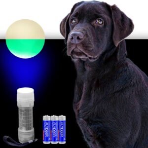 Fetch Glow Ball With LED Fetch Playset