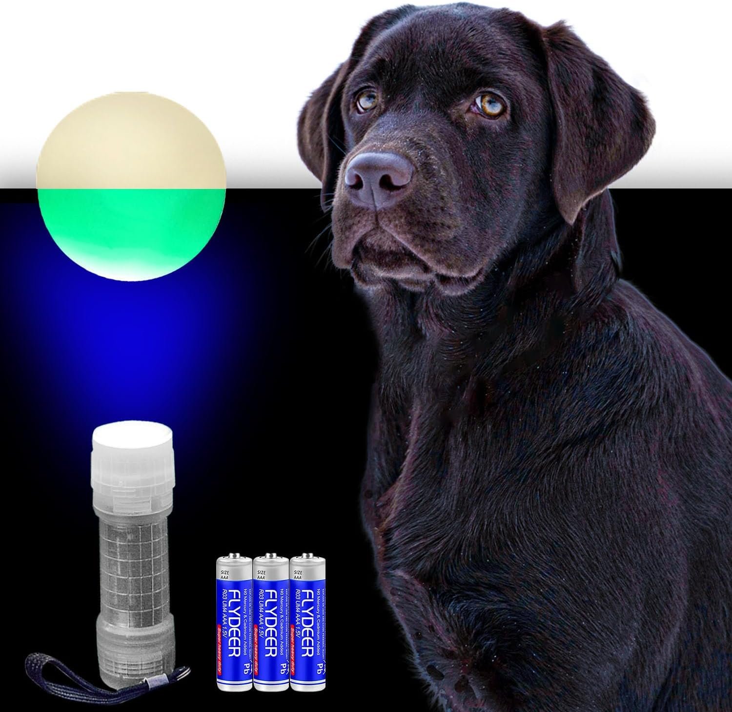 Fetch Glow Ball With LED Fetch Playset